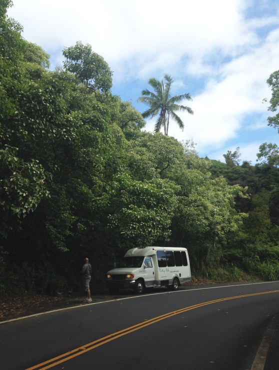 Hawaii_iPhone 5 back camera 4.12mm f:2.4_003