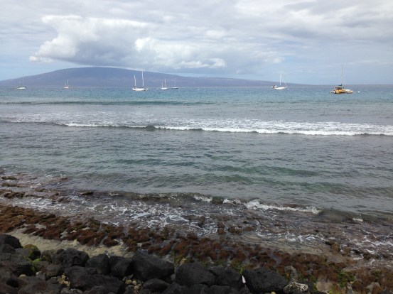 Hawaii_iPhone 5 back camera 4.12mm f:2.4_054