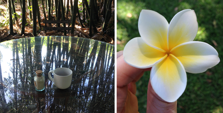 coffeeandplumeria